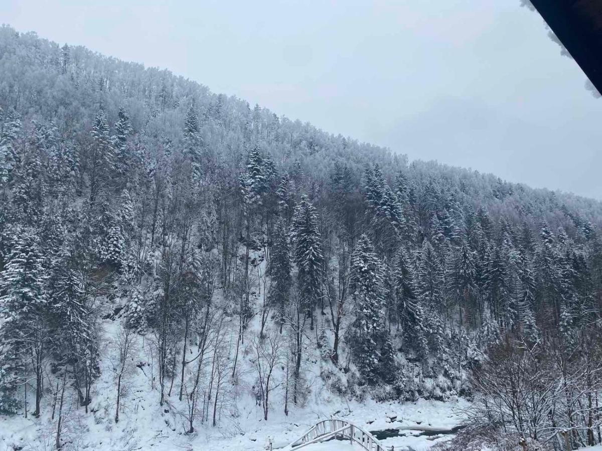 Писанка Плюс Hotel Yaremche Exterior photo